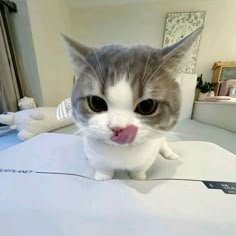 체크 tweet media