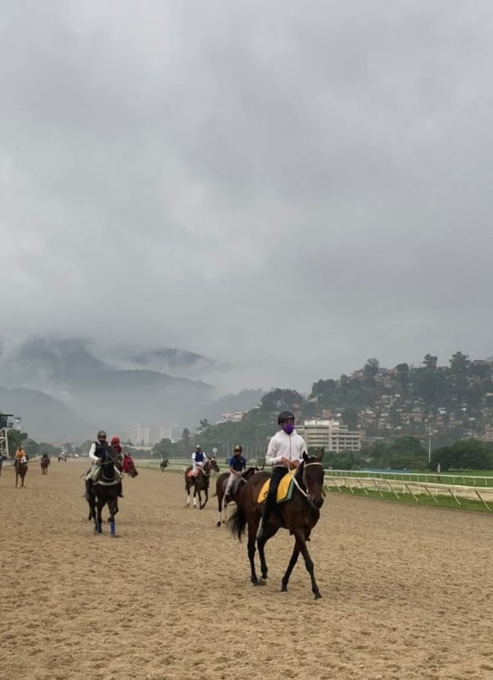 CONDORMANIA1's tweet photo. 🏇🏿¡PASA POR TAQUILLA CON JHONNY PERNIA! 💰 

🔥PLAN VIP SEMANAL $5,00
(LUNES A DOMINGO):
(TASA BCV)

 ¡TODA LA ACCIÓN CON UNA SOLA INVERSIÓN! 

📌POR JORNADA DIARIA: 
🇺🇸 AMERICANAS:
Bs 600,00(POR CADA HIPÓDROMO)

🏟️VALENCIA:
Bs 1.000,00 POR REUNIÓN CON SU AUDIO EXPLICATIVO https://t.co/hFlHRjfTjX
