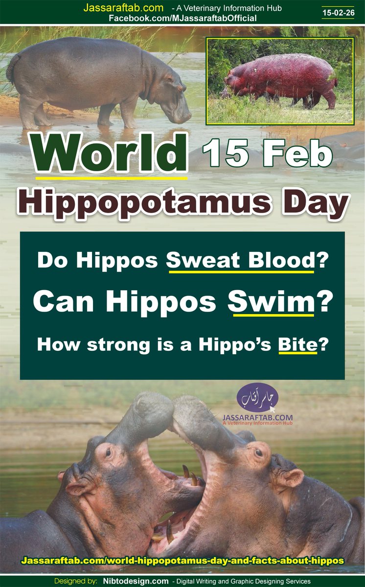 World Hippopotamus Day and facts about Hippos
jassaraftab.com/world-hippopot…