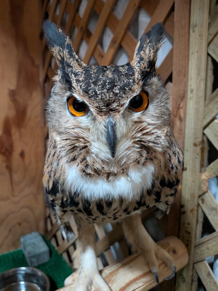 ただいま〜。ご飯持ってくるから、もう少し待っててね