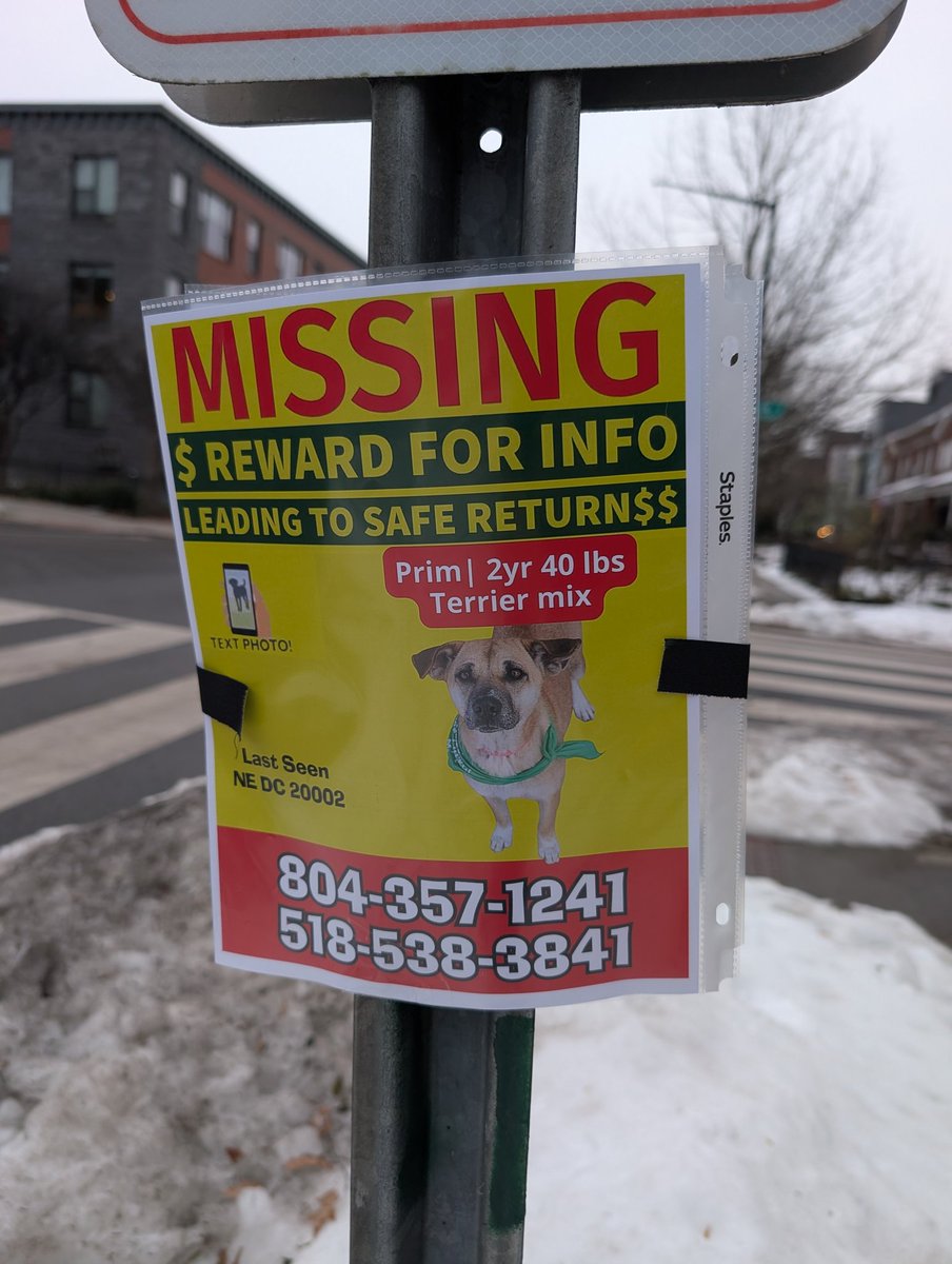 Edward Stillwell Ryder tweet media