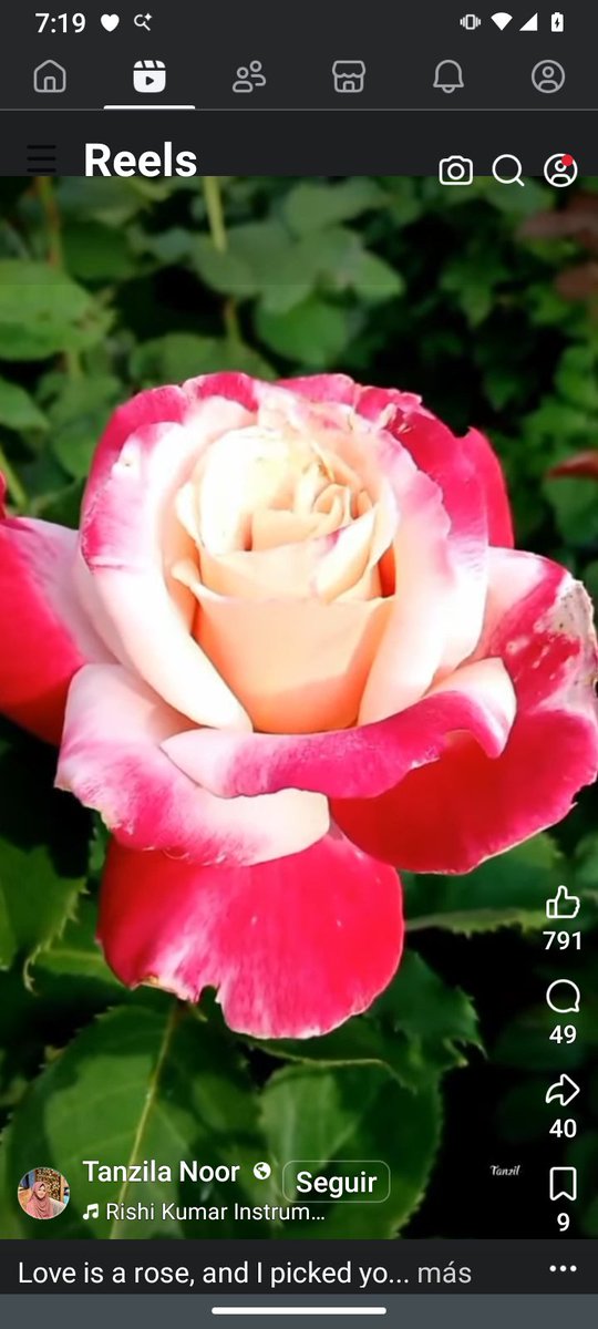 Luis granate tweet media