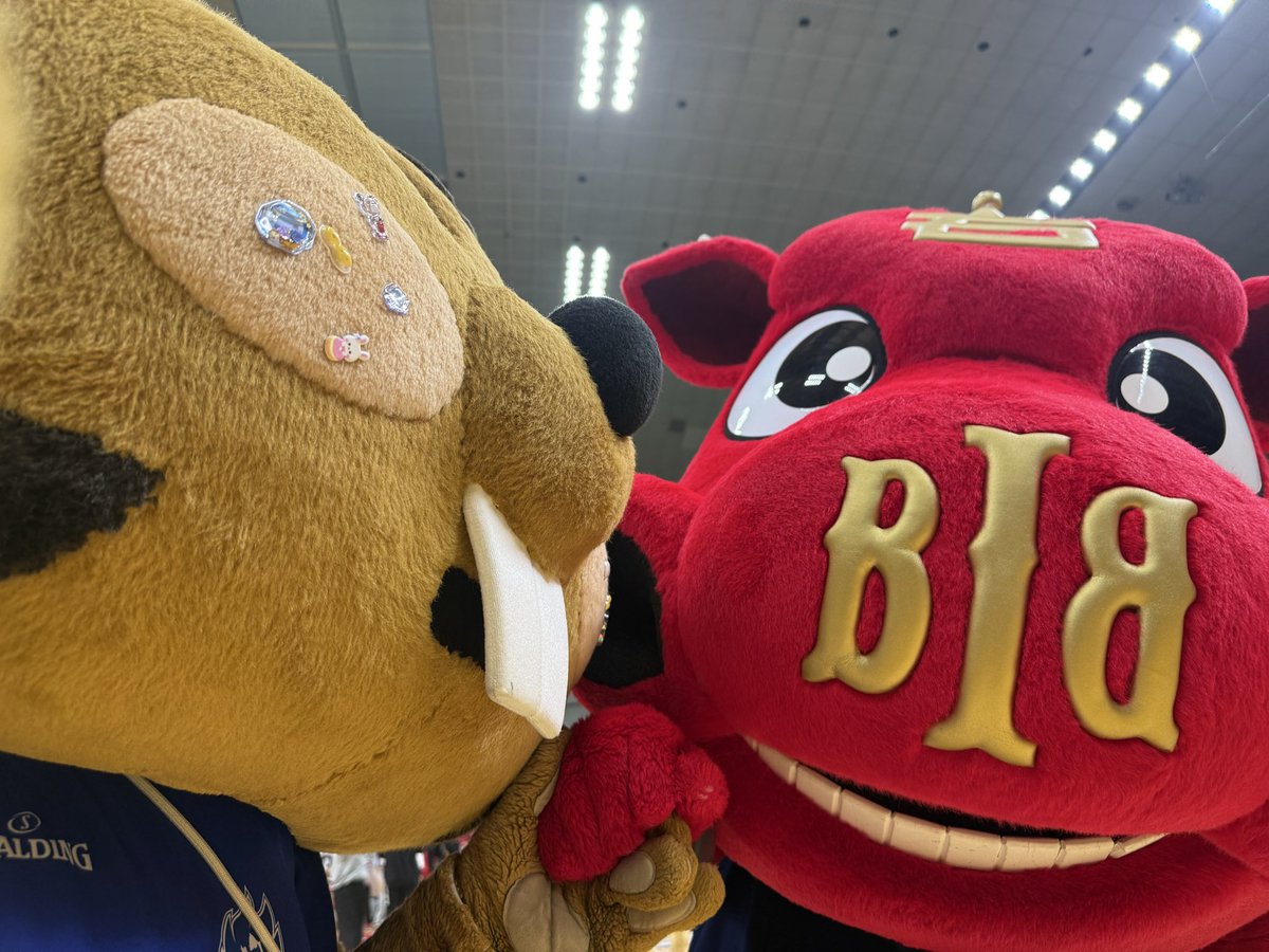 【公式】クイッキー・デッチ tweet media