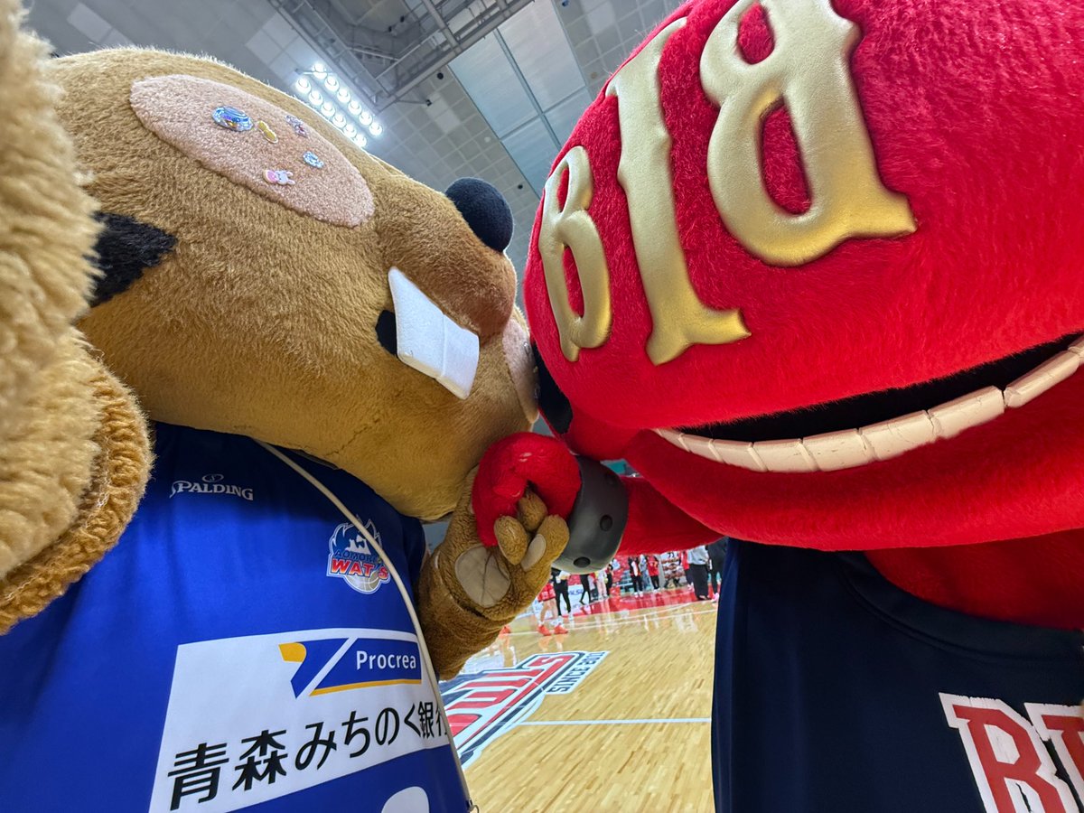 【公式】クイッキー・デッチ tweet media