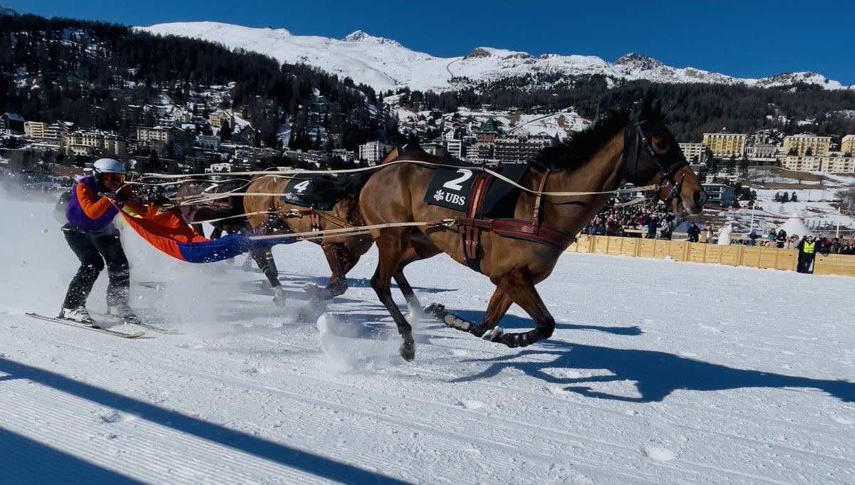 🇫🇷Romain Porée🐎 tweet media