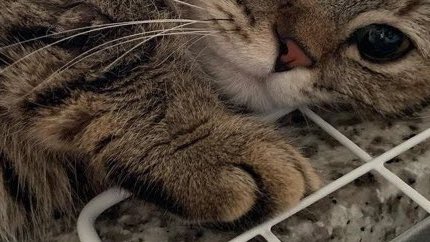 😾 Love present for you 〜 🎁🐢

🥇 1等　全金16%リュック
🥈 2等　全金武器 MP or Dual
🥉 3等　全金16 or PP

4等 金蔵150億✨
5等 500pay

らら賞 ゆり賞❤︎

《 拡散賞 》 💰1000 pay

【条件】
<a href="/C_r05a/">ららくん🎈🐢大赤字くん</a>  <a href="/ku_wiv_/">😾💢</a>  2名フォロー
投稿に❤️‍🔥と♻️ #ペニンシュラ 

2/22 23:59〆

#ペニンシュラ配布