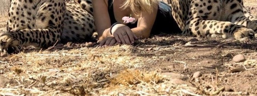 TTi1_12's tweet image. surprise: