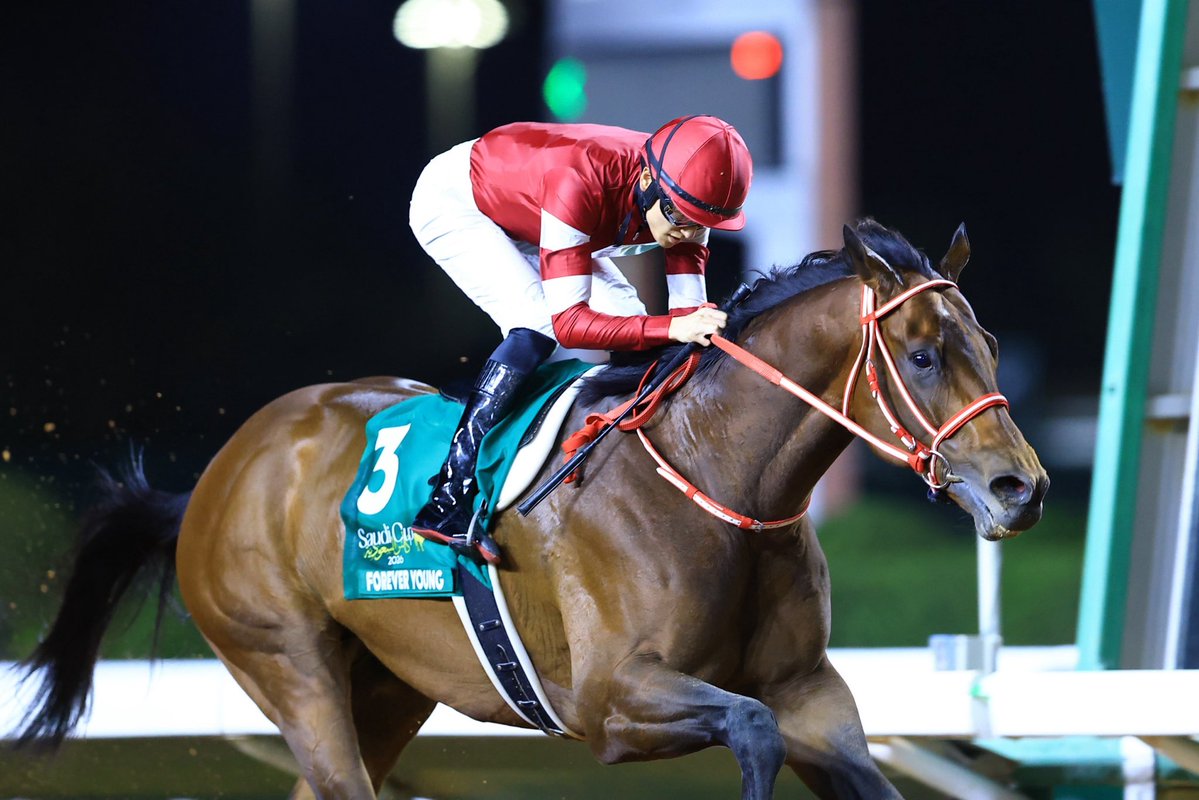 _RYUSEI_0531's tweet image. フォーエバーヤング
サウジカップ連覇🥇🥇

ありがとうございました🦄