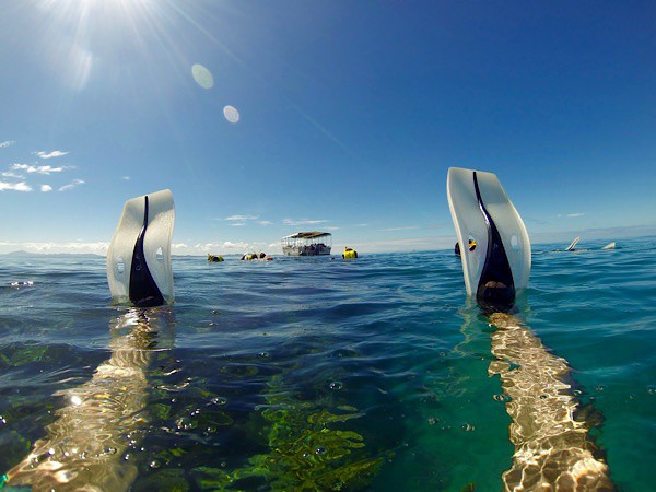 storytllrjewels's tweet image. They say you are the average of the five people closest to you.

Read more 👉 lttr.ai/AoNvu

#SocialMediaHabits #HeavilyInfluenced #SpendTime