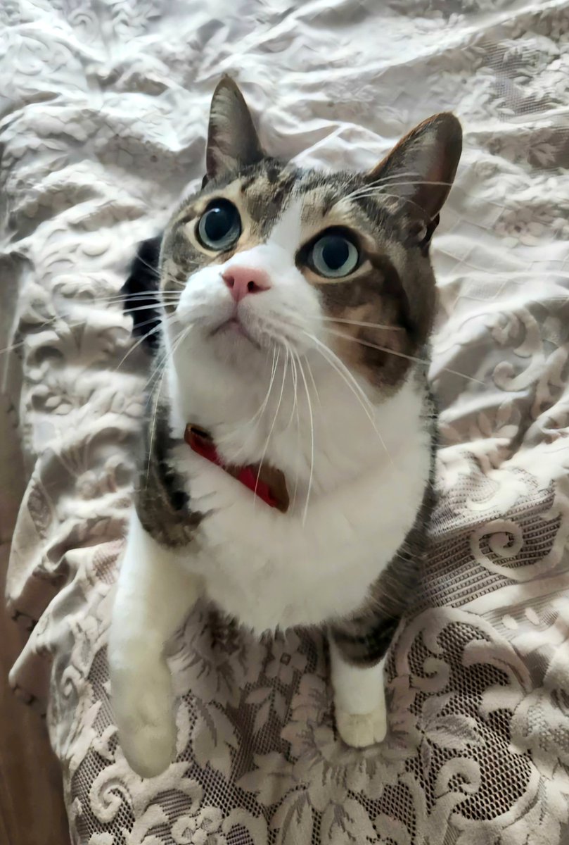 kazu✨ (@kazu0729f) / Posts / X