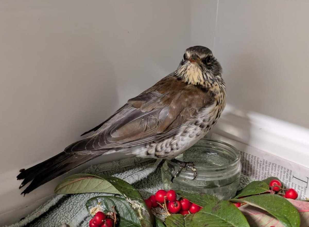 Worcester News tweet media