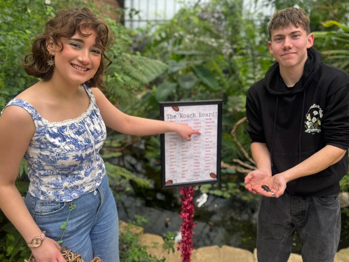 Butterfly House tweet media