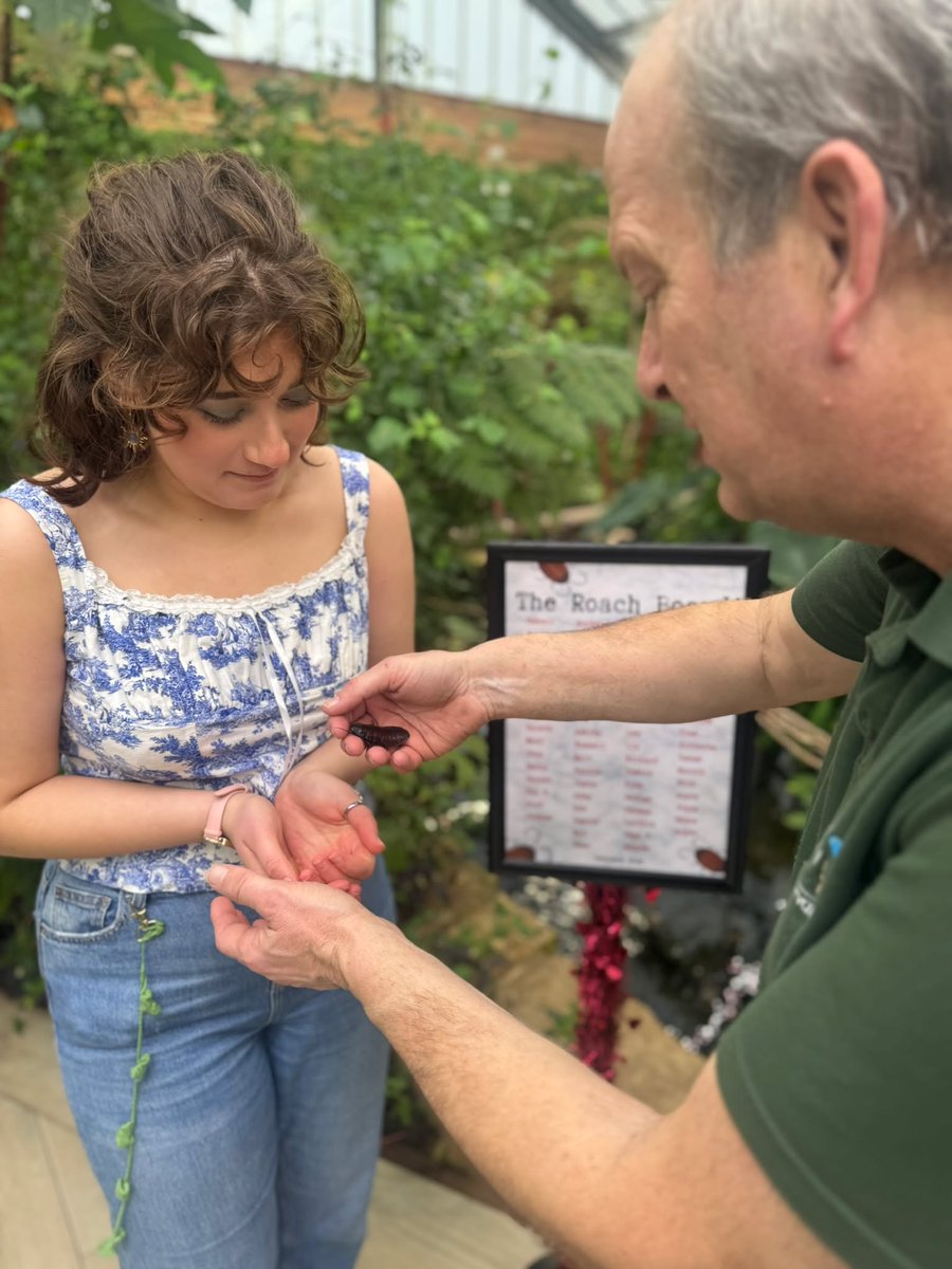 Butterfly House tweet media