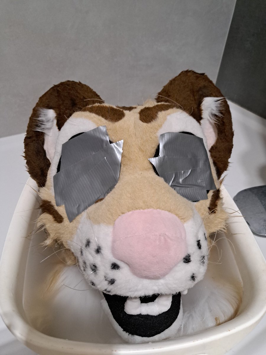 Quercu💜🐆📷🌱🐾 tweet media