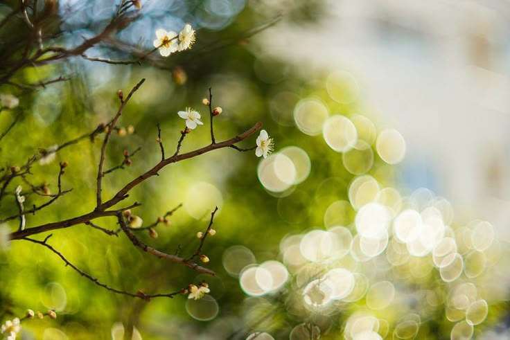 꿋꿋하게
산다는 건

힘들어도
열심히 살아가고

괜찮지 않아도
극복하려는 노력이고

꼿꼿하게
산다는 건

힘들어도 힘들지 않은 척
살아가고

괜찮지 않아도 괜찮은 척
살아내고 있는 버팀이다

꼿꼿하게 살다가는
어느날 부러질지 모른다

-지나간다 다지나간다-