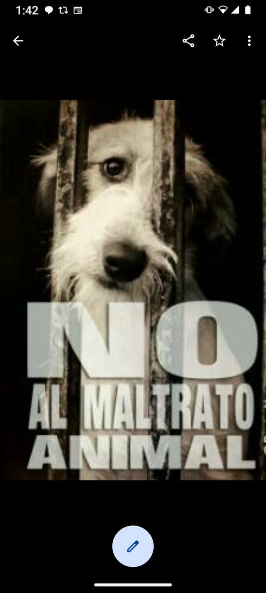 Estoy totalmente en contra del maltrato! 😠😠