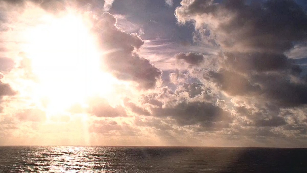 Moonlight Minx tweet media