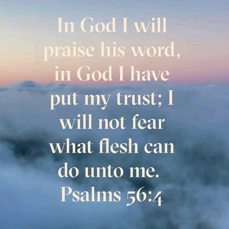 Danny Kwon (@dannykwonphd) on Twitter photo 