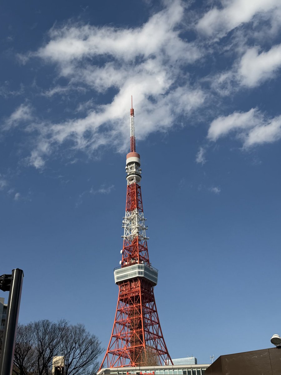 事務所のYouTubeショート動画がUPされました✨
まもなく開催！
#東京マラソン のコース
ラスト4kmを #ランニング &amp; #ウォーキング してみました👟
こちらのURLからご覧ください💁‍♀️
youtube.com/shorts/e7wp7j_…