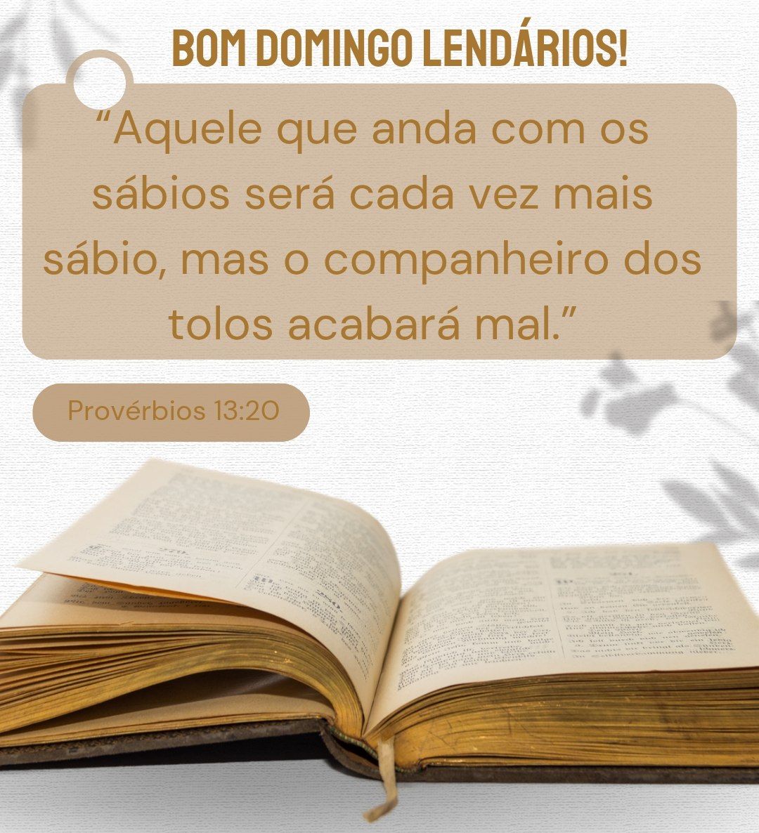 É como diz o ditado popular:
Diga-me com quem tu andas e eu te direi quem és.

Ou seja, Escolha bem suas companhias — elas revelam e moldam quem você é ou será no futuro.

Bom Domingo Lendários! 🙏🏻

#BomDia #Domingo #DitadoPopular #VersiculoDoDia #Amizades #Biblia #Reflexao