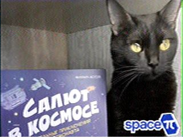 Roland Zurmely tweet media