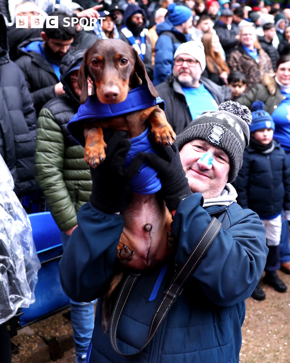 #FACupDogs