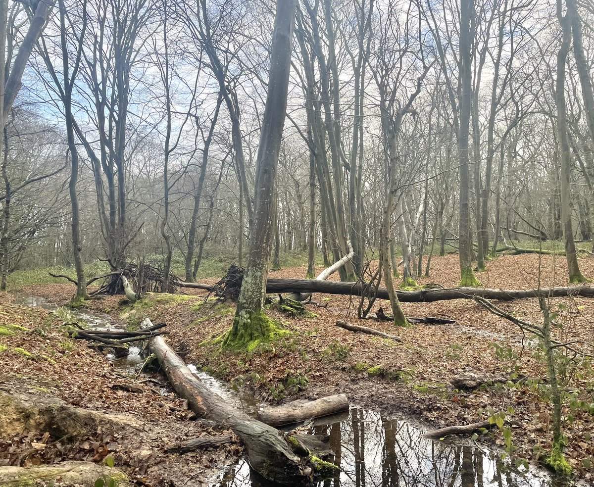 Jonathan Dodds tweet media