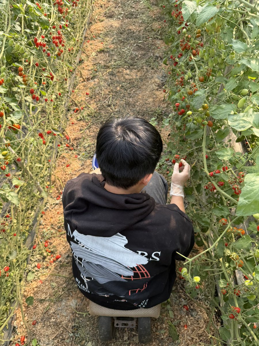 rudy_lien's tweet photo. 番茄惡魔八個月快樂🍅
我會繼續帶著你吃喝玩樂
過上好日子 https://t.co/DbtFt7iRqs