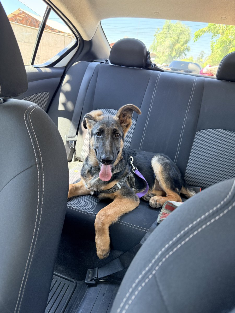 quien pensaría que con esa carita se porta pésimo