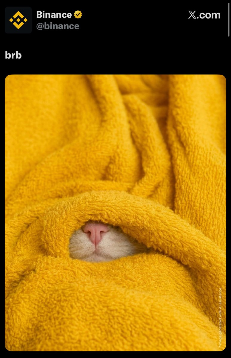 Berylbitlab's tweet image. Binance knows

x.com/berylbitlab/st…