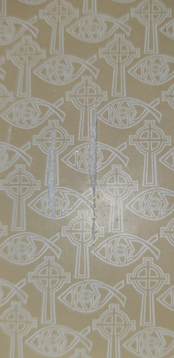 riຖ ໐f Şhtຟt 🍊 tweet media