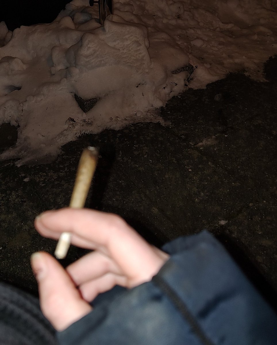 riຖ ໐f Şhtຟt 🍊 tweet media