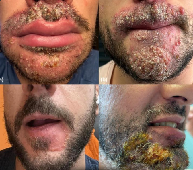 نَبض . tweet media