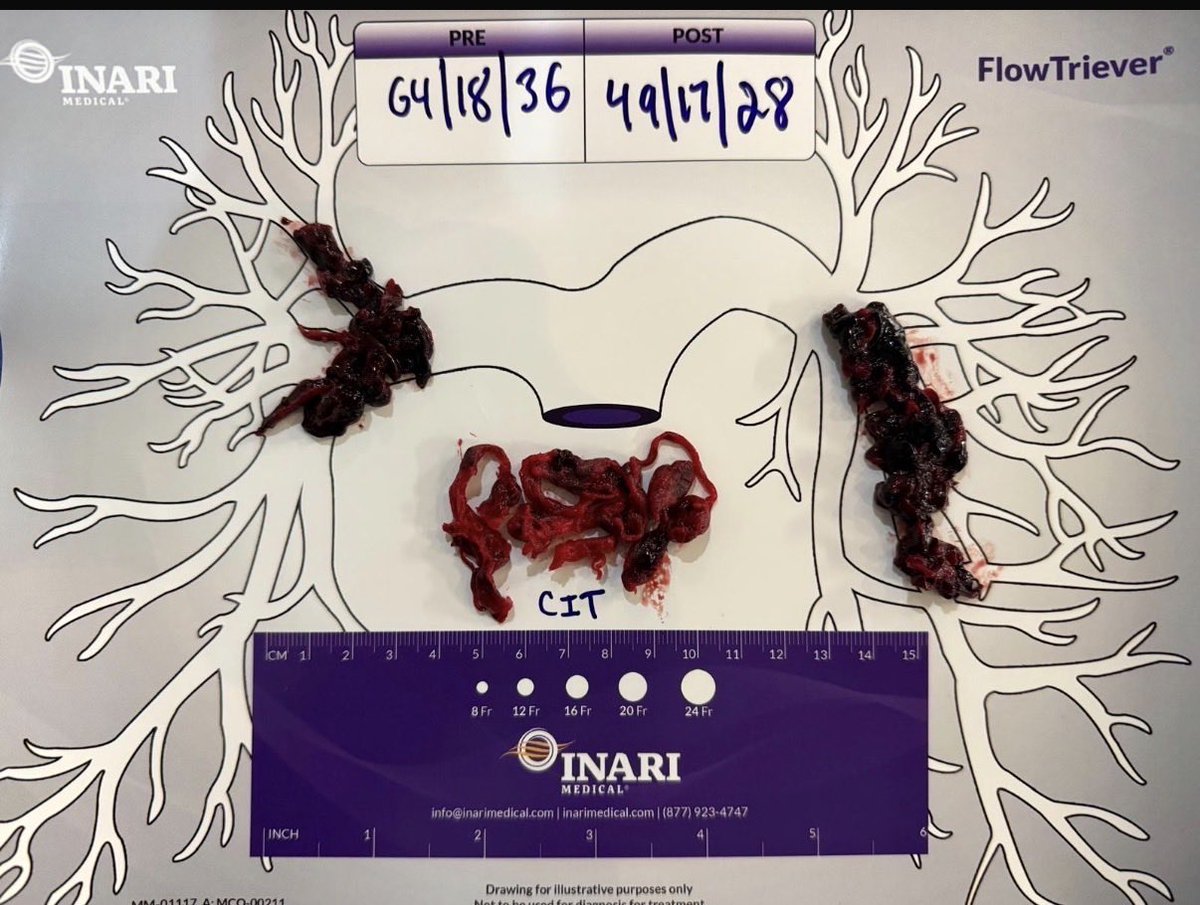 Deniz Mutlu tweet media