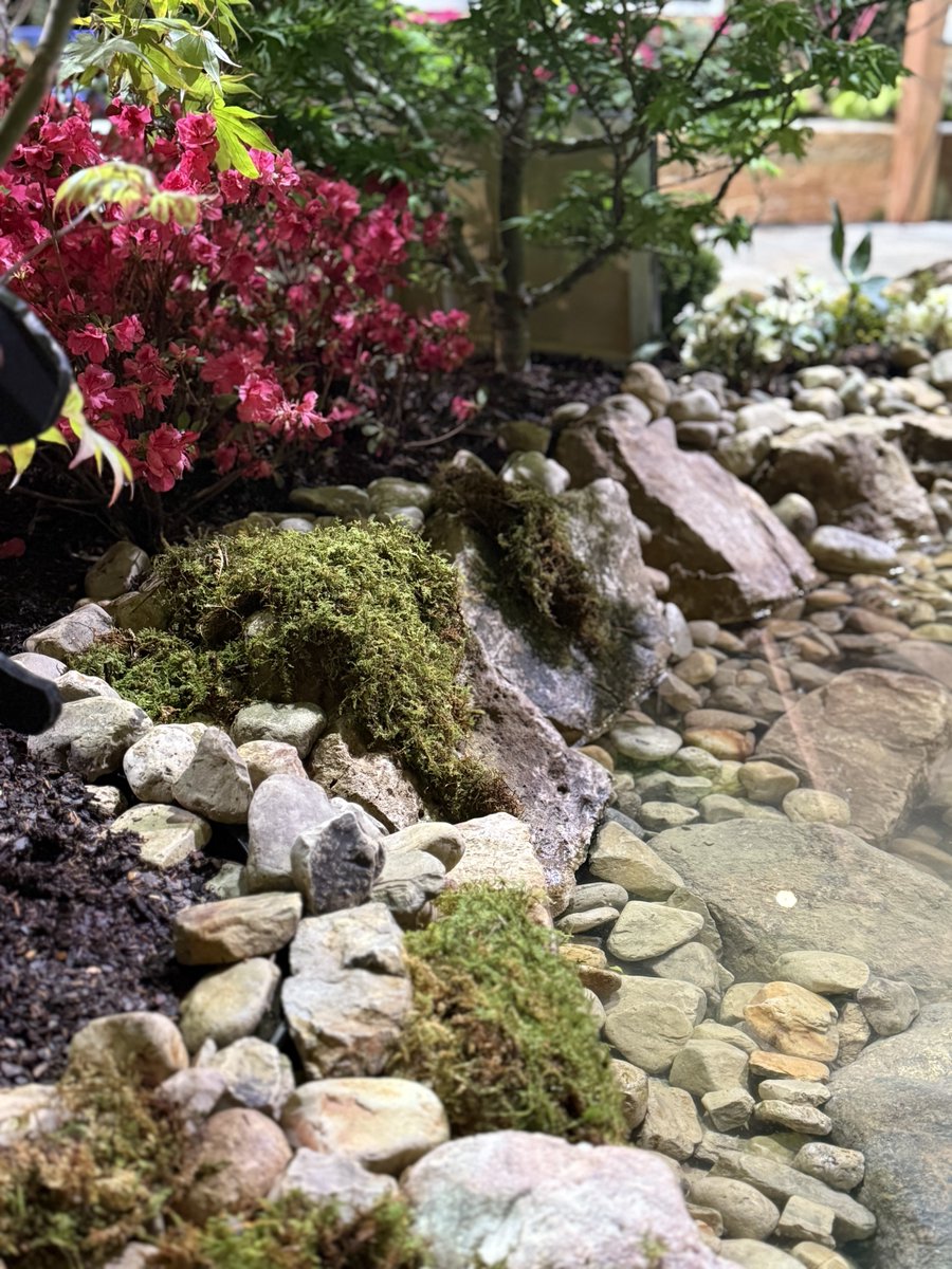A glimpse of what’s blooming! 🌷🇺🇸

The members of the Columbus Landscape Association truly outdid themselves this year, bringing the Celebrate America theme, proudly presented by America 250-Ohio, to life across nine stunning indoor gardens.

Tickets: bit.ly/47W2OHQ