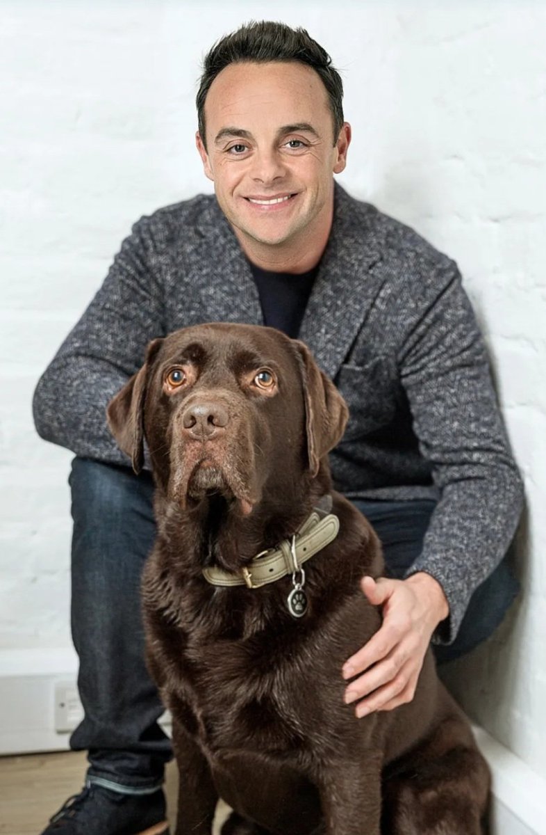 Forever Brentford 🐝🏴 tweet media