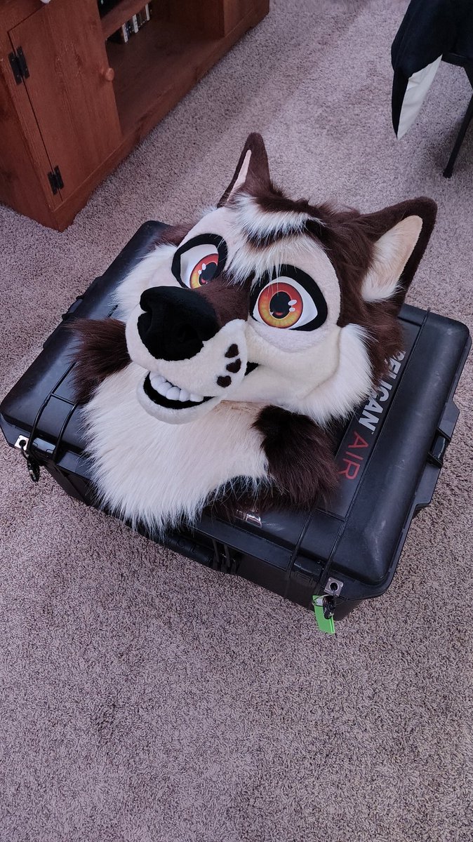 Tazz 🔜 FWA/AC tweet media