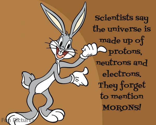 Biff Metatron - Procyon Lotor Angelus 😇🦋🎱🇺🇦🇬 tweet media