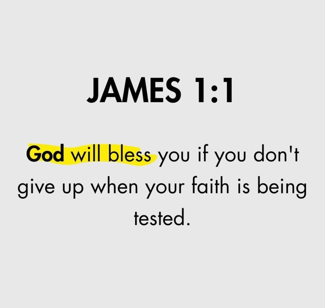 Holy Bible tweet media