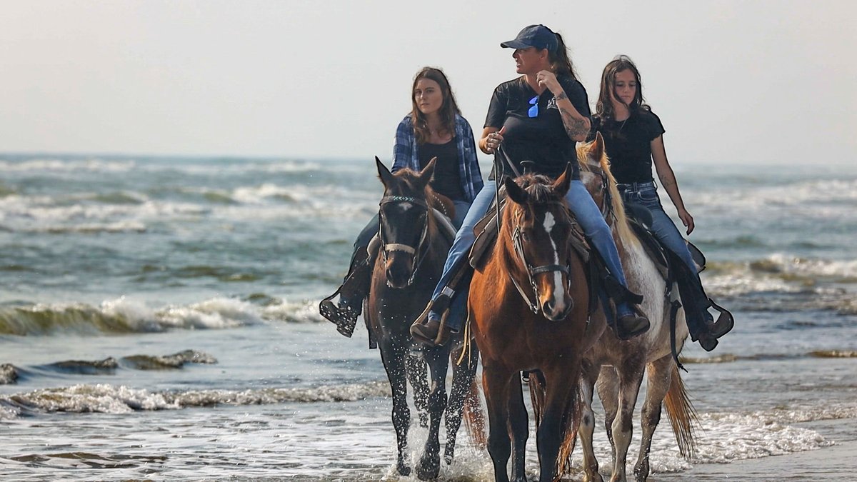 The Texas Bucket List tweet media