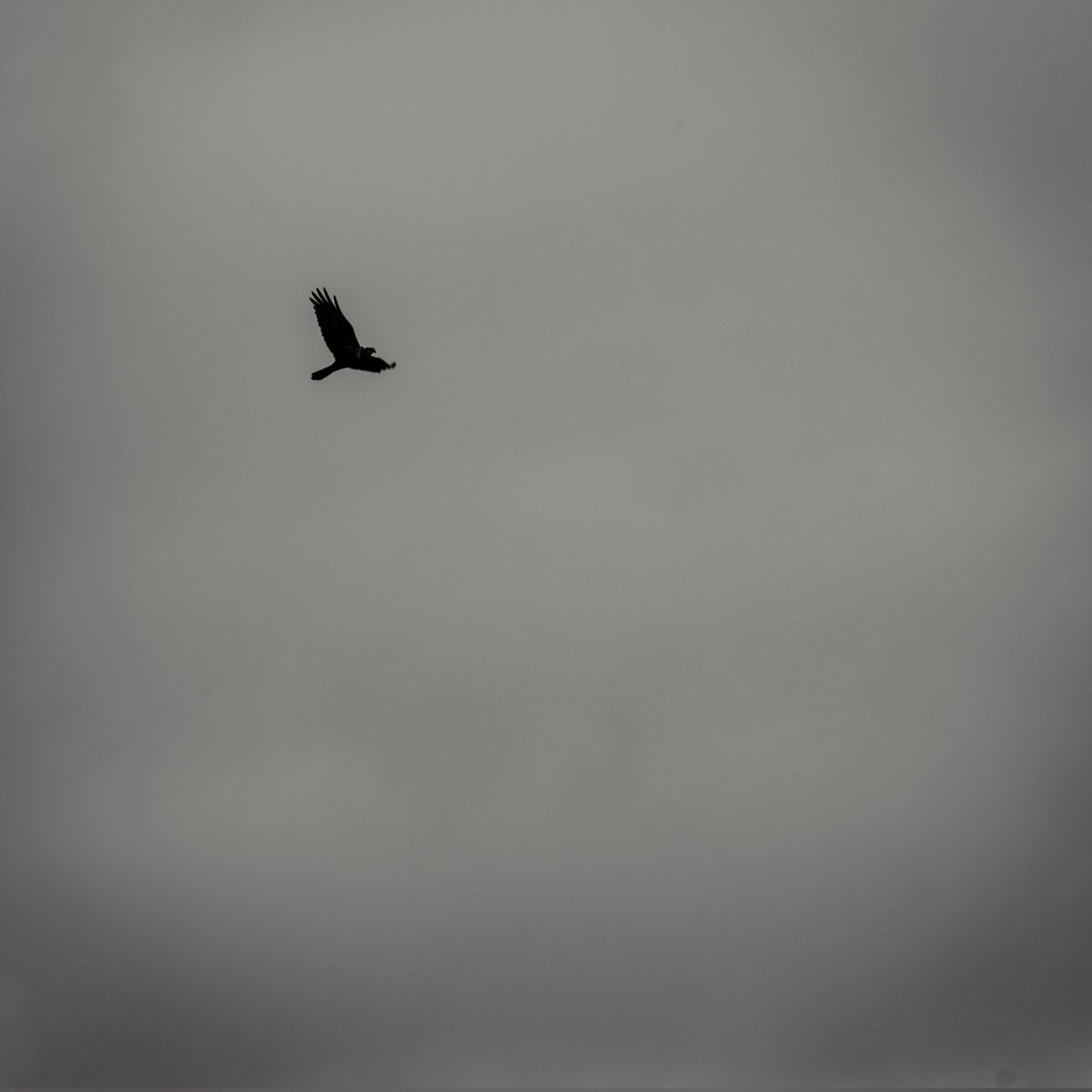 Matthew Sutton 🎥📷 tweet media