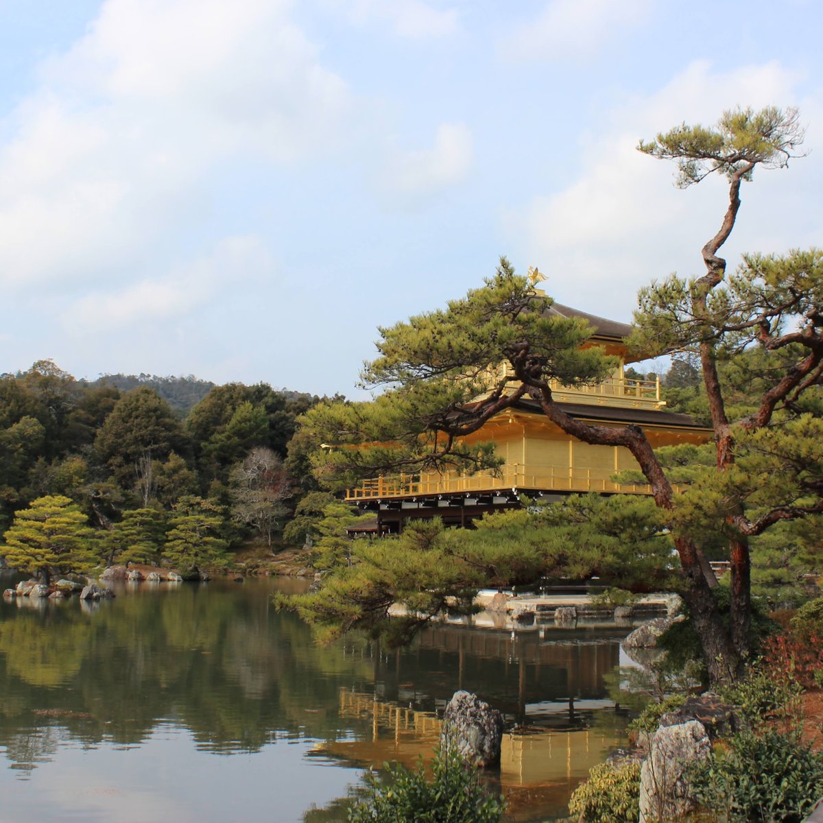 James Cullin tweet media