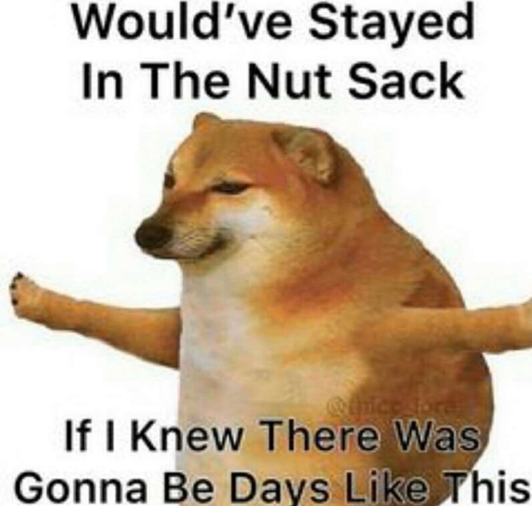 Reign Lunar💜 tweet media