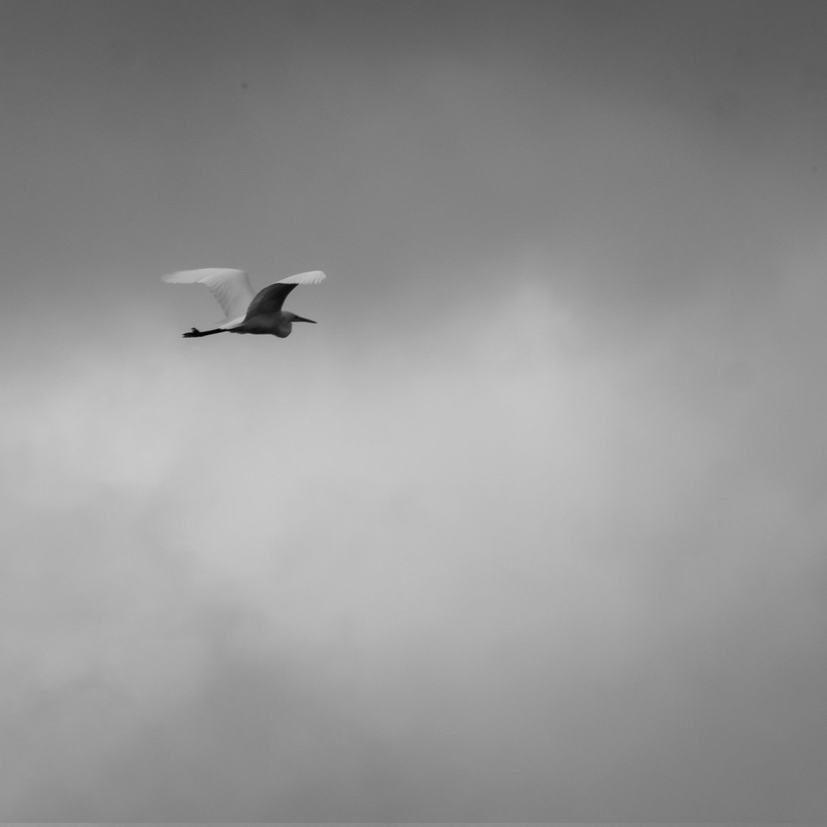 Matthew Sutton 🎥📷 tweet media