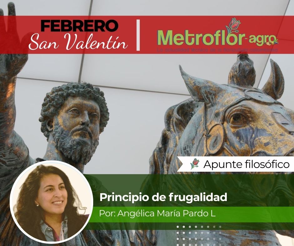 #Domingo #ArtículoRecomendado ¿Y si el problema no es la escasez… sino nuestro consumo sin límites?

Descubre por qué la frugalitas romana podría ser más actual que nunca.

👉 Lee el artículo completo metroflorcolombia.com/principio-de-f…