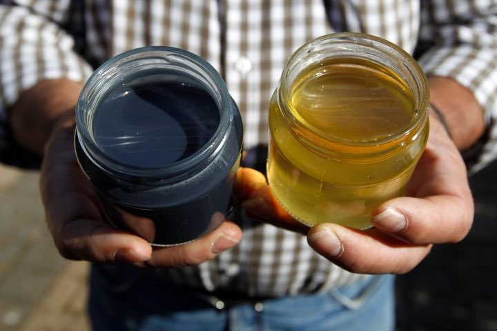 In 2012, French beekeepers discovered their bees producing blue and green honey. 

Investigation revealed that the bees were feeding on waste from a local M&amp;M's factory, which contained colourful candy shell remnants.