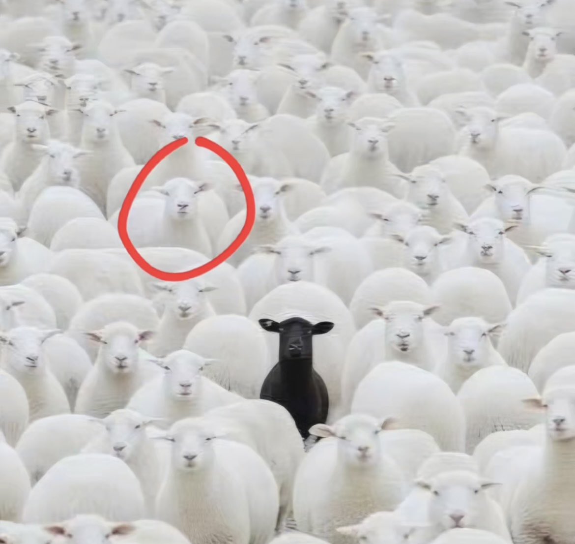 Me in a world where everyone has Elden Ring as their favorite game