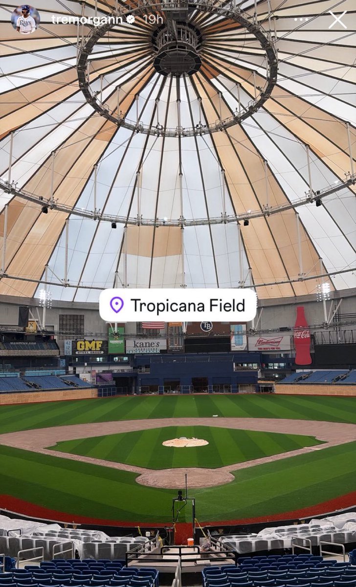 Baseball Quotes tweet media