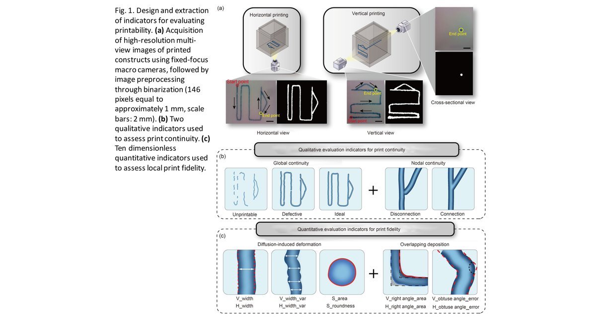 Bio-Design and Manufacturing tweet media