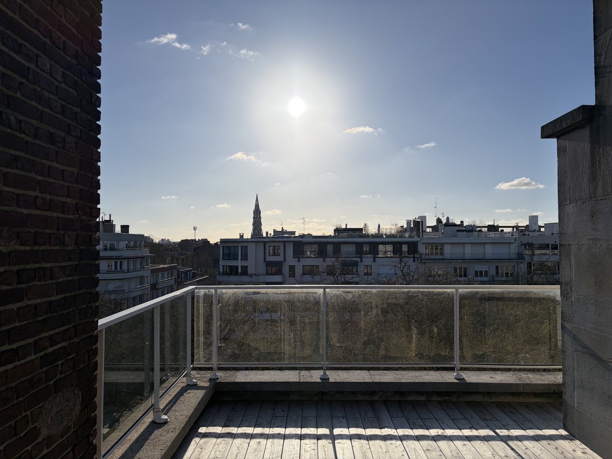 Alex Mamy tweet media